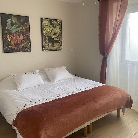 Appartement T2 Spacieux Et Equipe Mions ภายนอก รูปภาพ