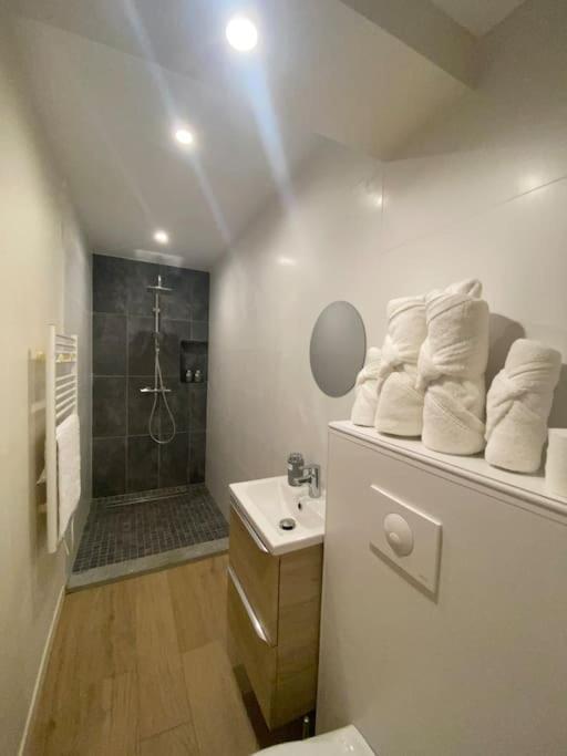 Appartement T2 Spacieux Et Equipe Mions ภายนอก รูปภาพ